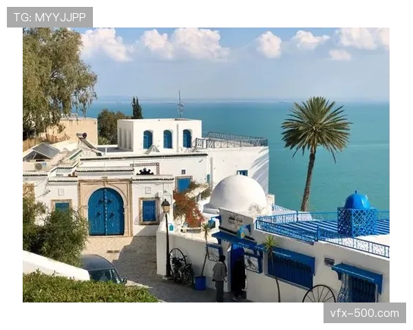 法甲与BeIN Sports完成中东及北非地区五年独家转播权续约 法甲与BeIN Sports完成中东及北非地区五年独家转播权续约